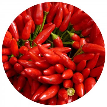 PEPERONCINI CAYENNA INTERI KG 1